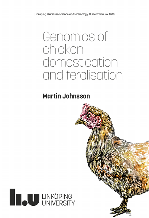 Cover of my dissertation:
					   title and a drawing of a chicken